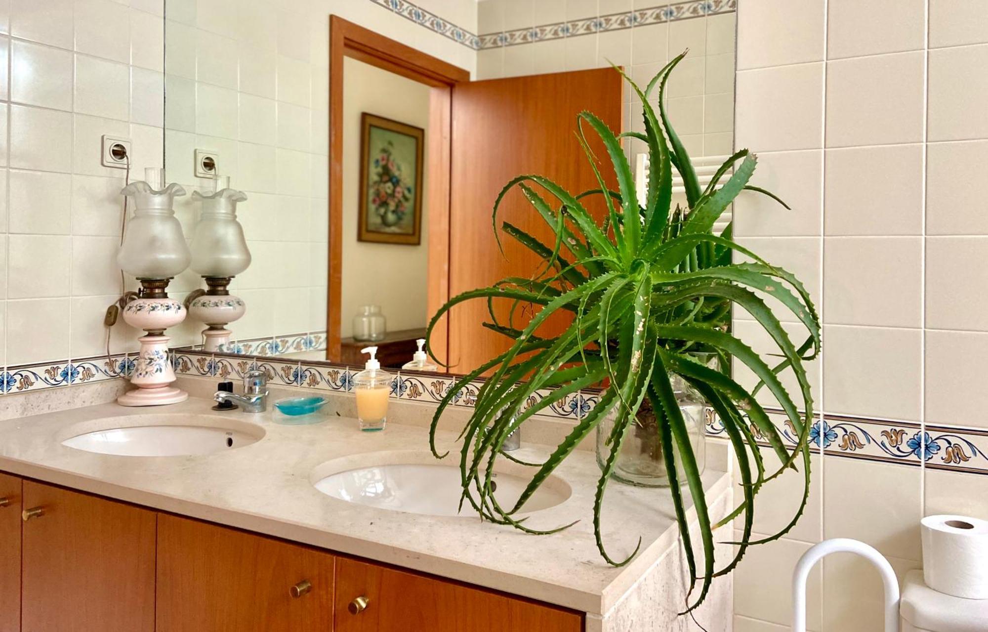 Vistas Do Minho Villa Каминя Екстериор снимка