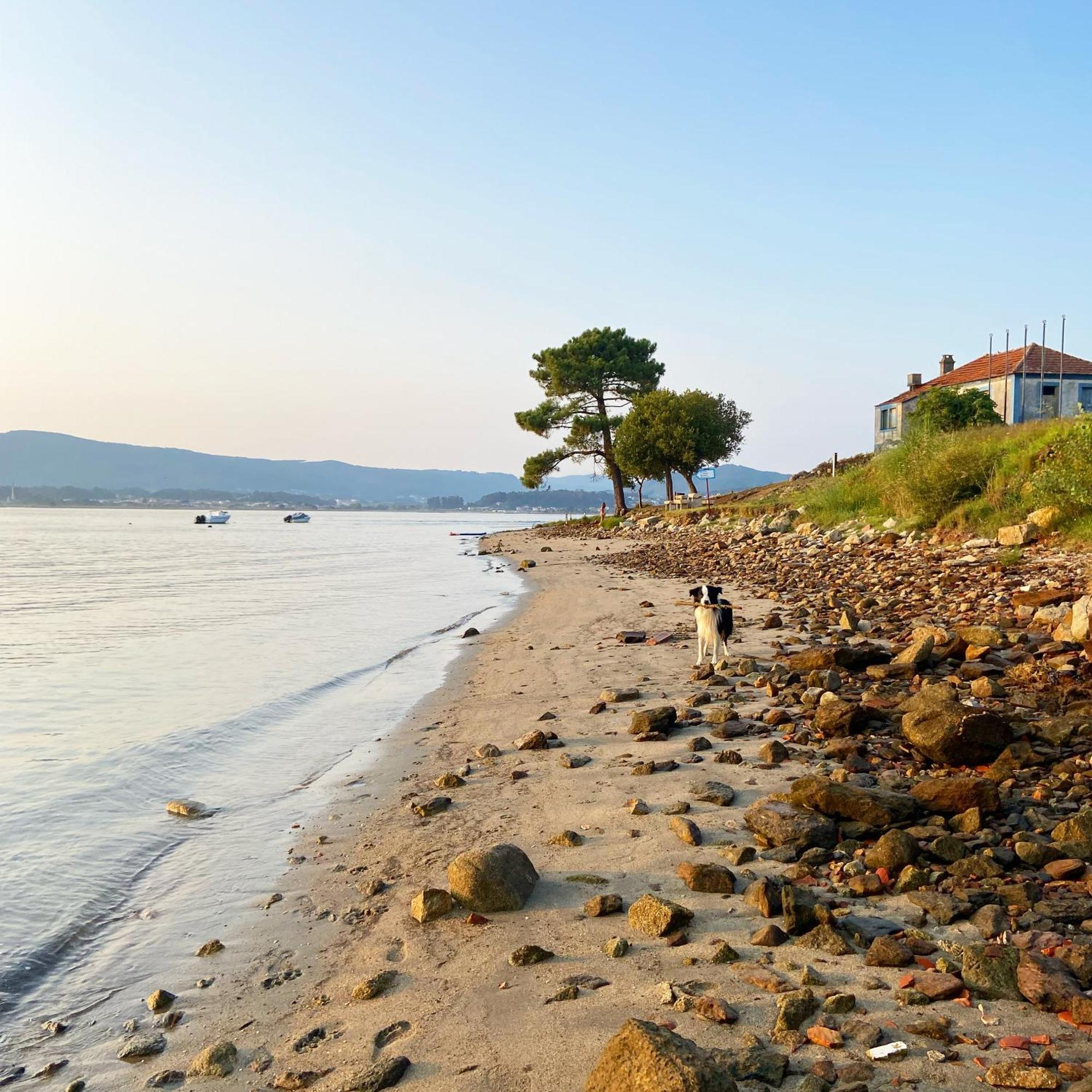 Vistas Do Minho Villa Каминя Екстериор снимка